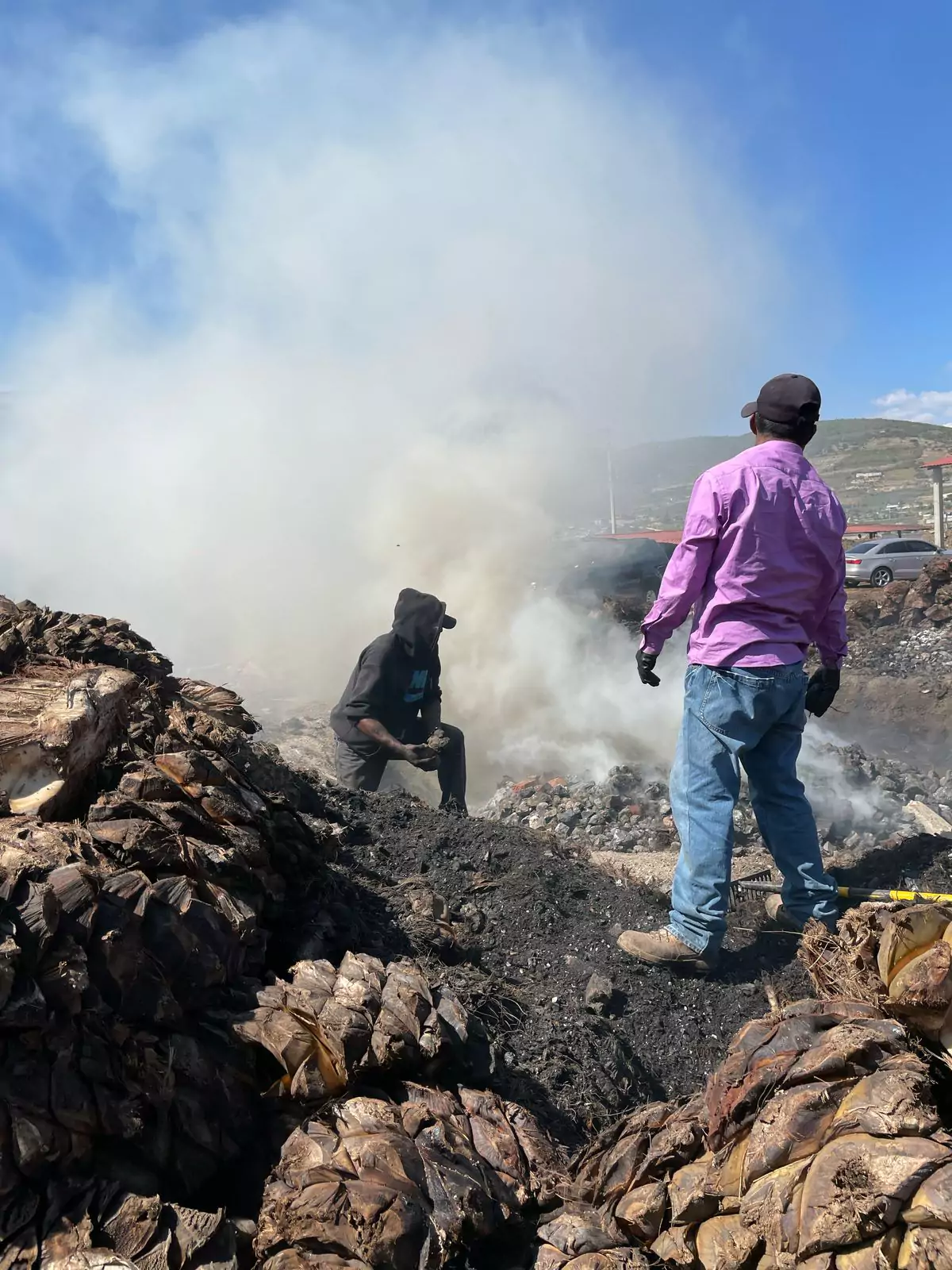 orneado-agave-mezcal-tierra