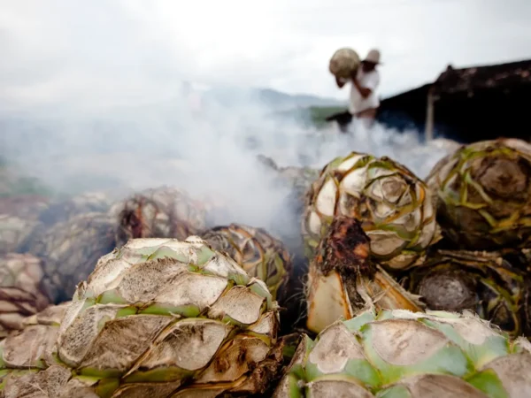 Proceso mezcal artesanal