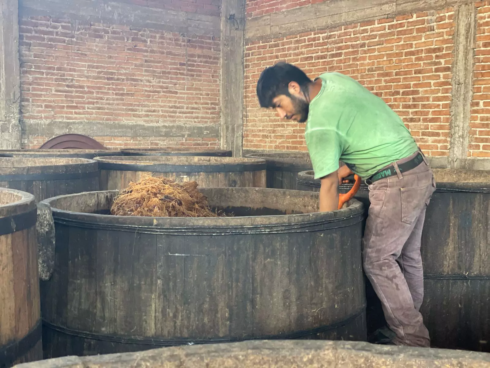 Maestro-mezcalero-fermentado