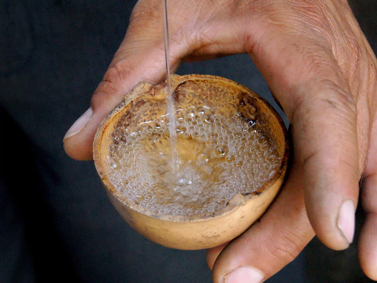 mezcal-perlas