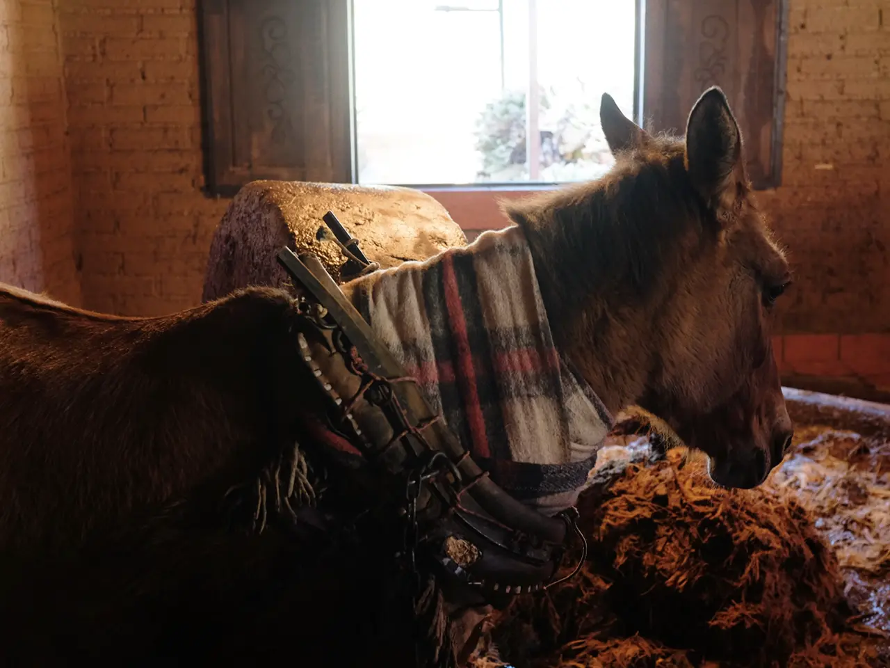 Proceso artesanal del mezcal